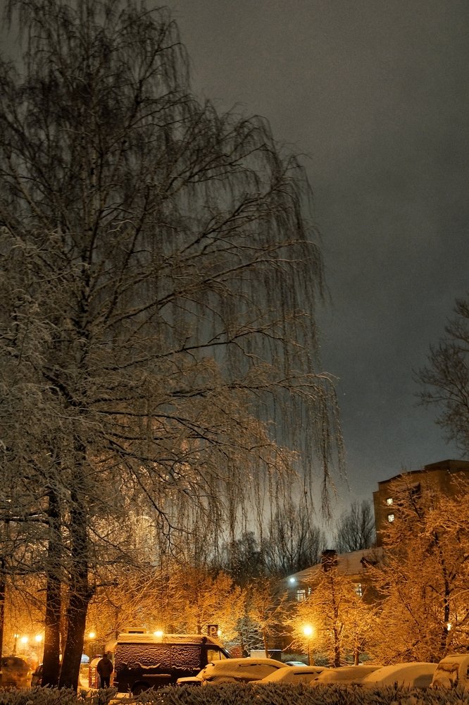 Photograph by Андрей Локтев