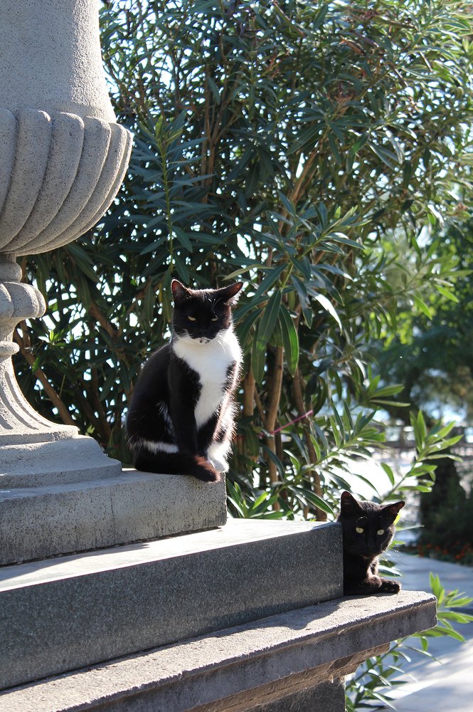 Photograph by Прялкин Сергей