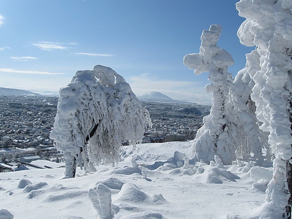 Photograph by Прялкин Сергей