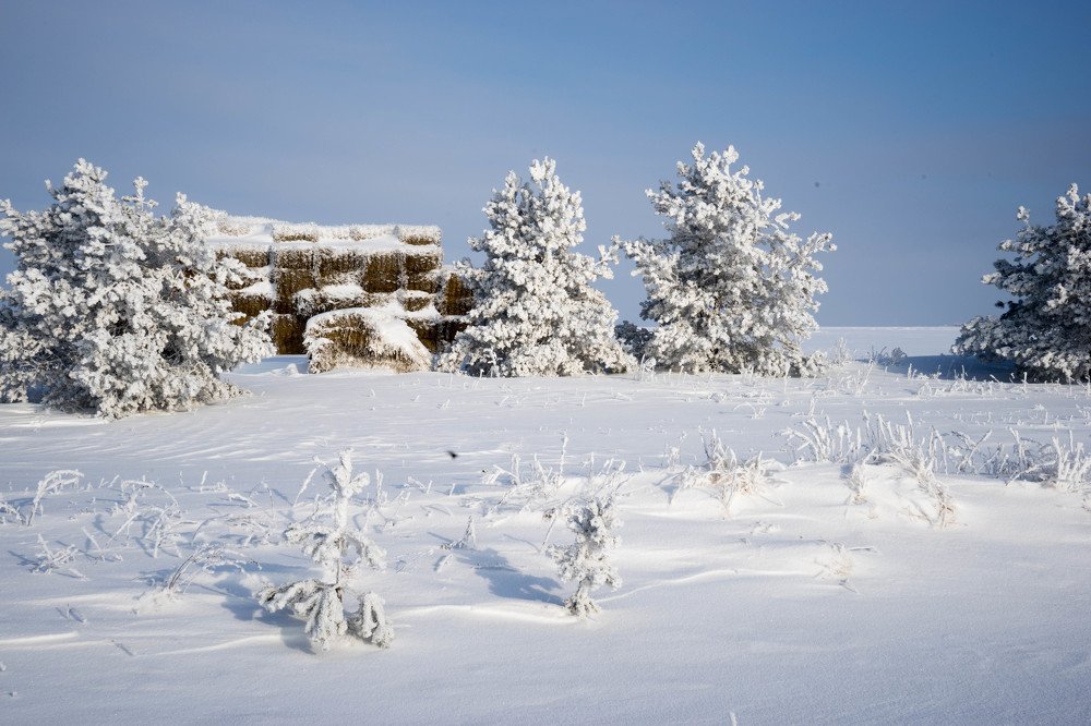 Photograph by mikhail goryachev