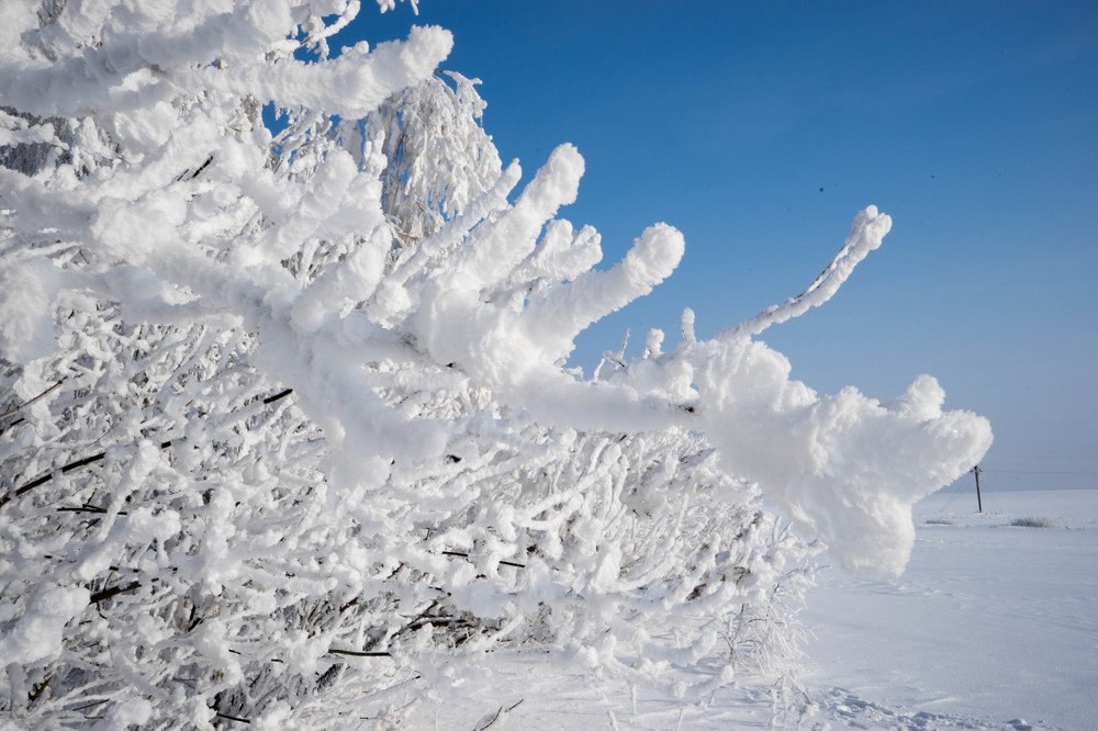 Photograph by mikhail goryachev