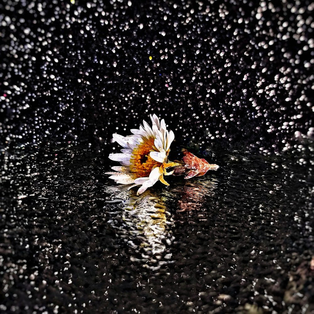 Photograph by Ольга Веселова