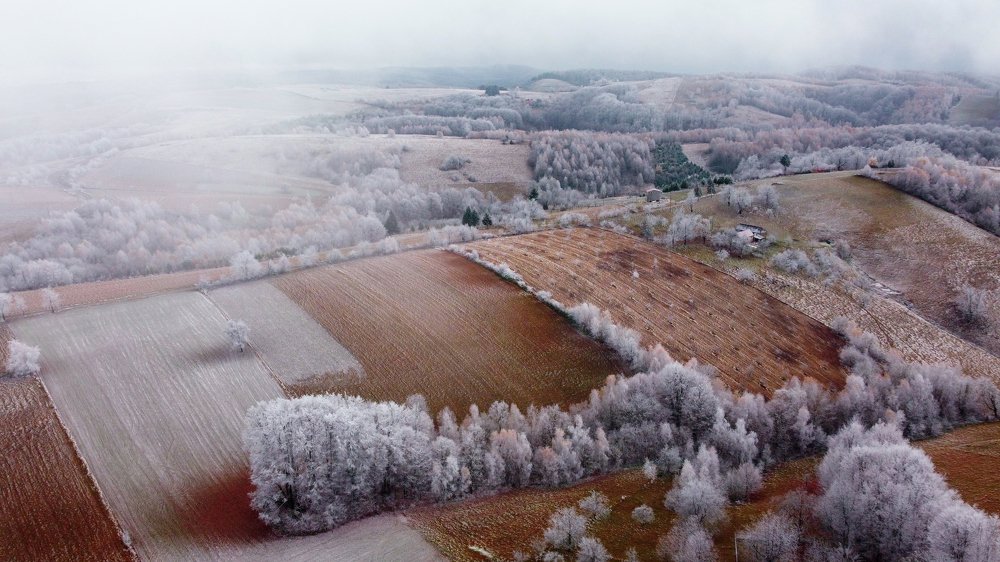 Photograph by Mihai Romeo Bogdan