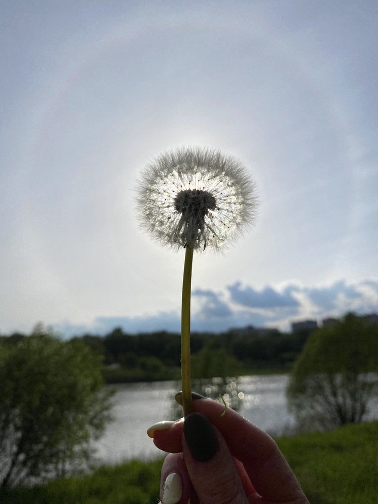 Photograph by Наталья Изотова