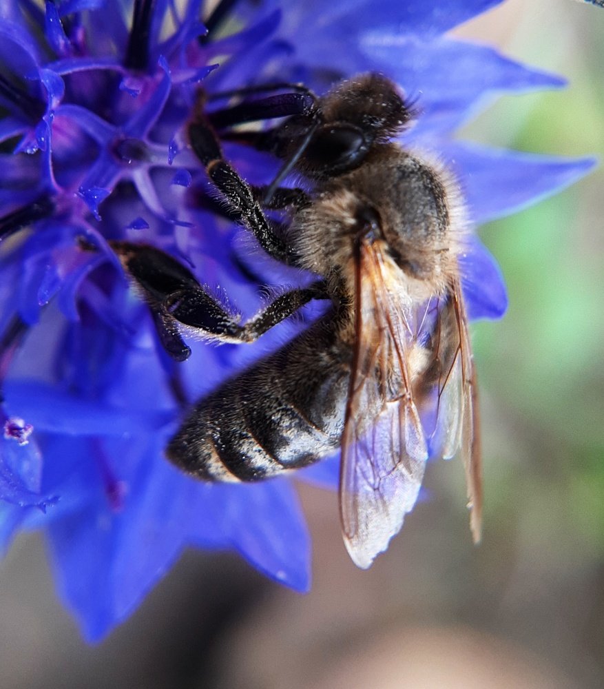 Photograph by Евгения Синкина