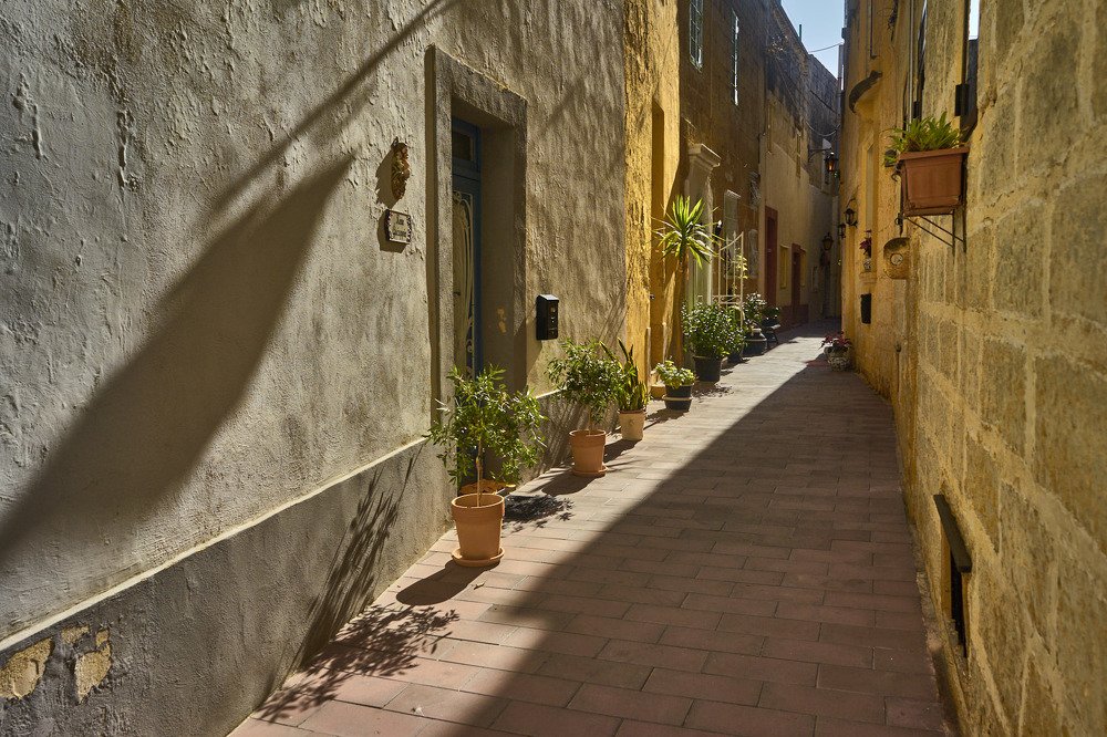 Фотография автора David Solodar