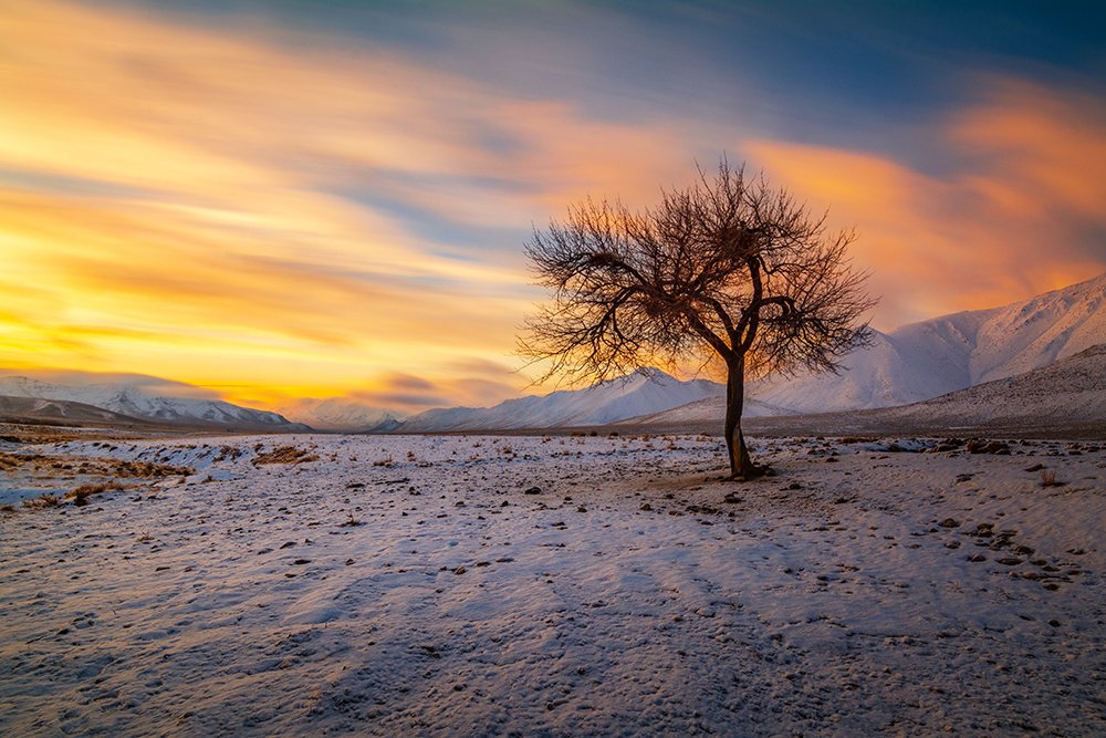 Photograph by sajjad saadat