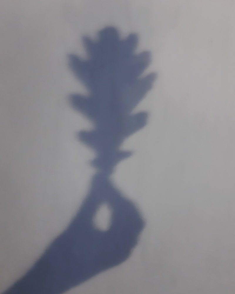 Photograph by Евгения Синкина