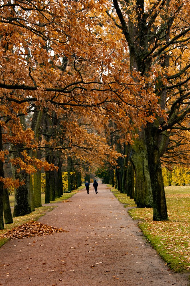 Фотография автора Зоя Малхова