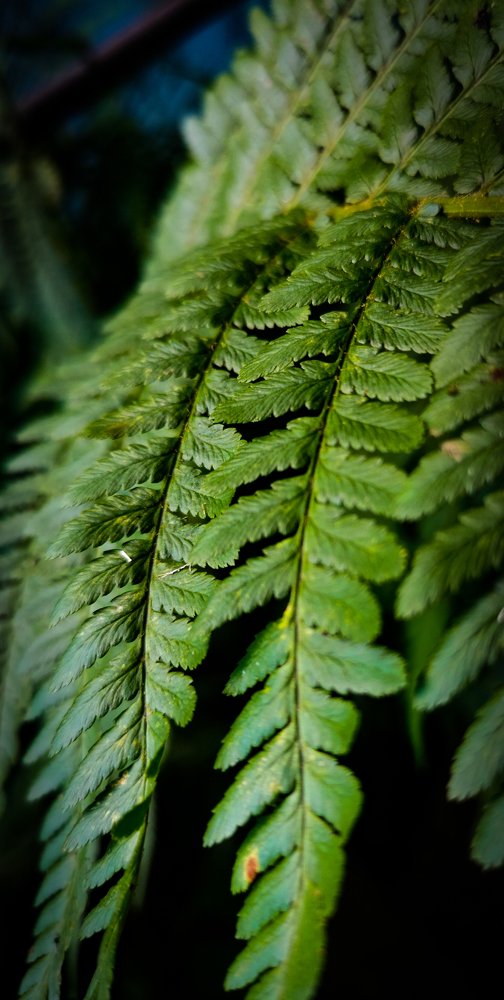 Photograph by Valentina