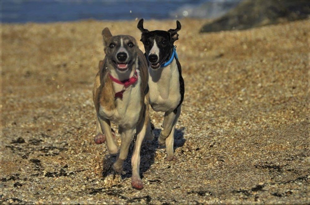 Розовые пяточки