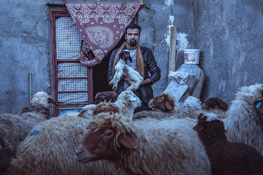 Photograph by Khashayar Laknezhad