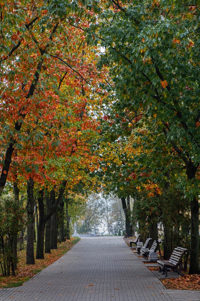 Photograph by Соболев Сергей