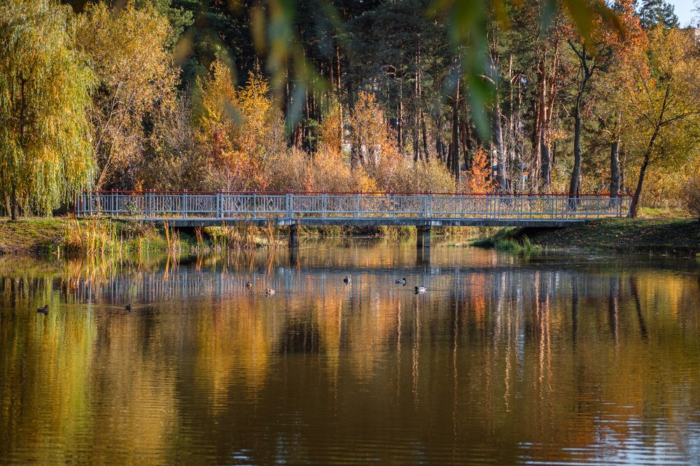 Photograph by Соболев Сергей