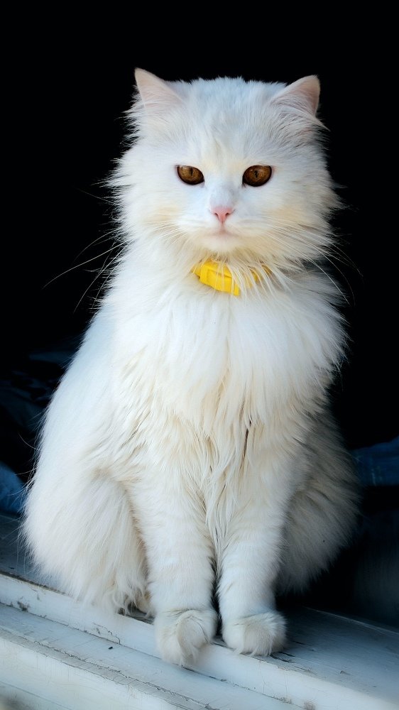 Photograph by Valentina