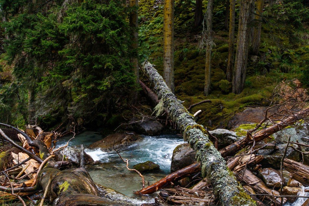 Photograph by Полина Зенькович