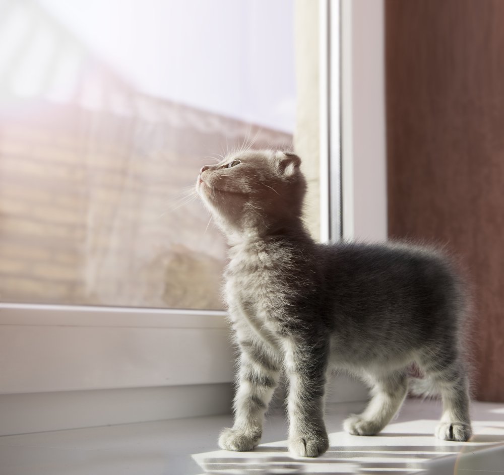 Фотография автора Анна Вигера