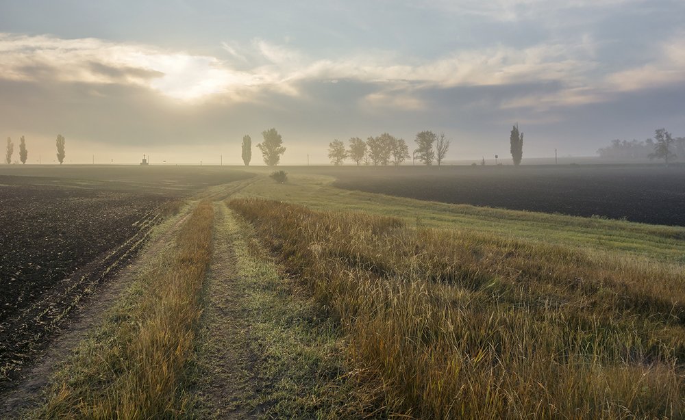 Утро в поле