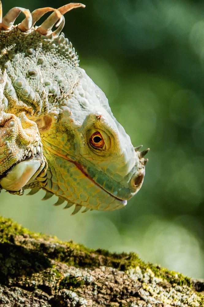 Photograph by Анна Гвоздовская