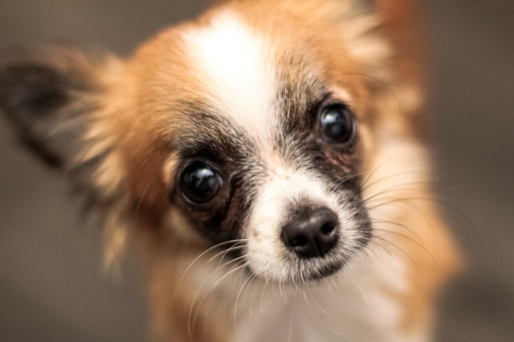 Photograph by Анна Гвоздовская