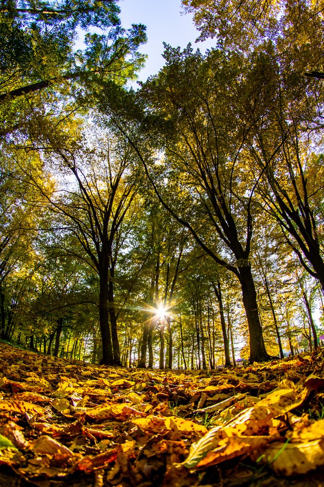 Photograph by Володимир Сорін