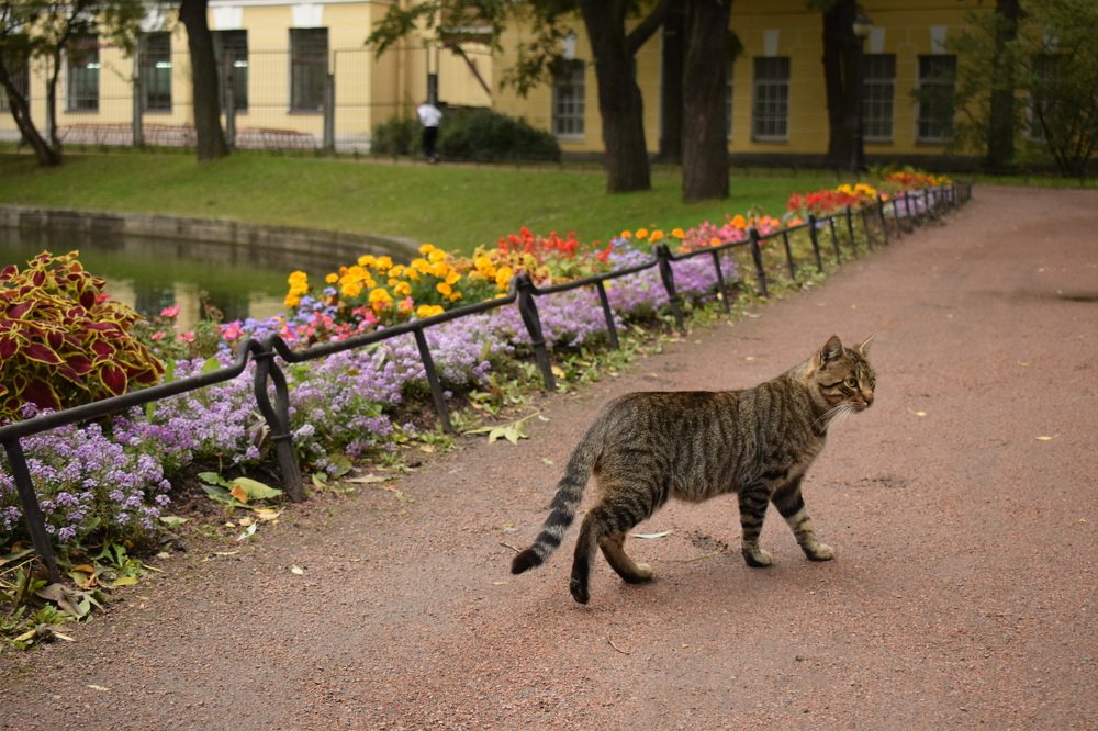 Photograph by Ekaterina