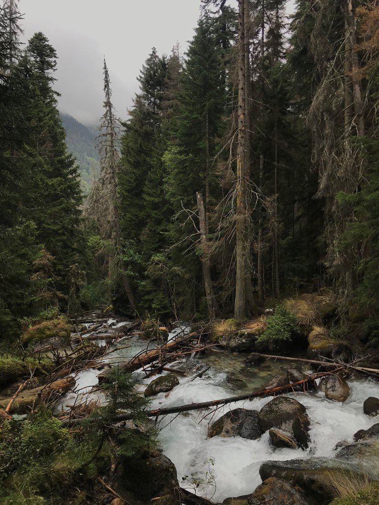 Photograph by Полина Зенькович