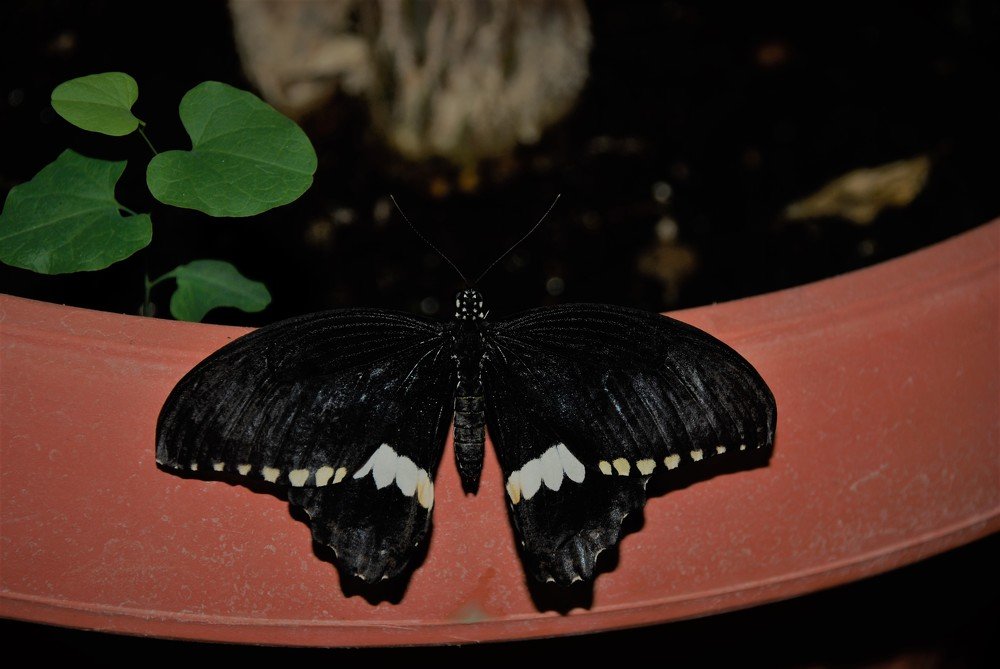 Photograph by Сергей Лобозов