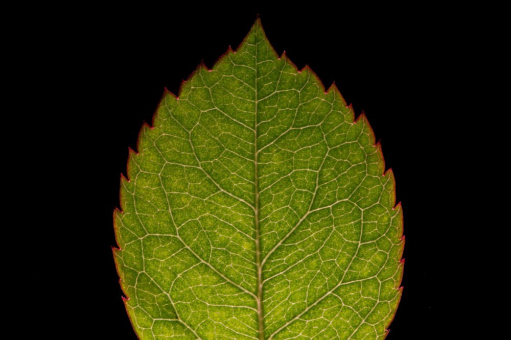 Photograph by Евгений