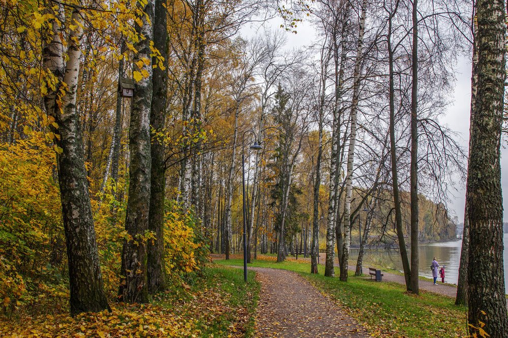 Photograph by Елена Гусева