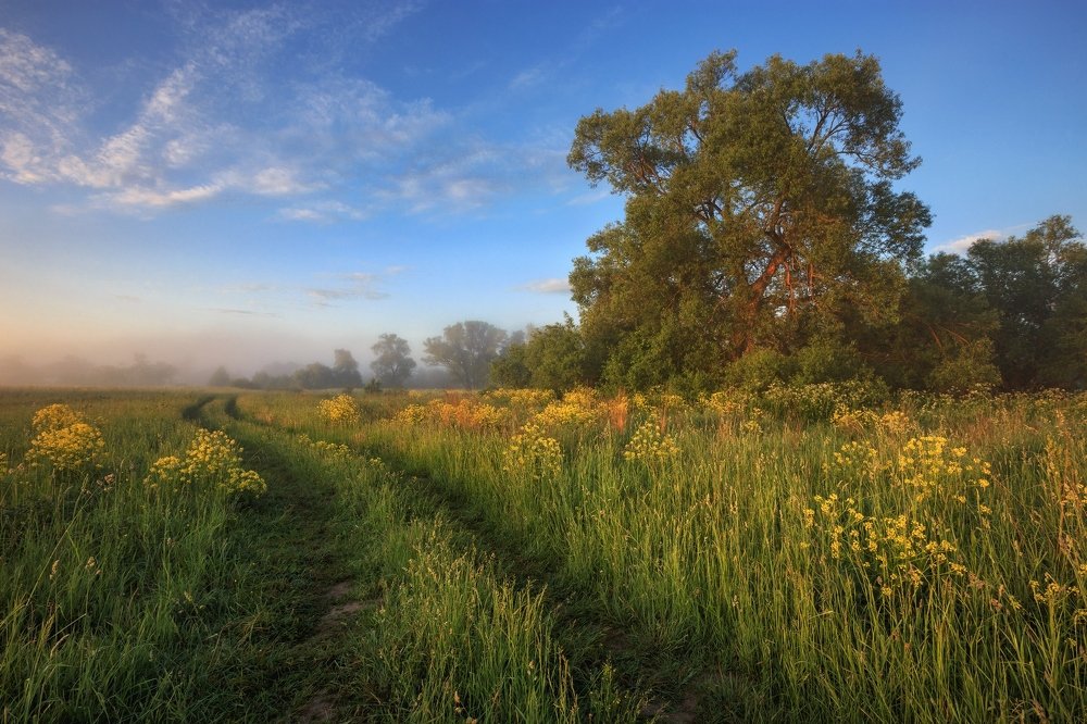 Начало лета
