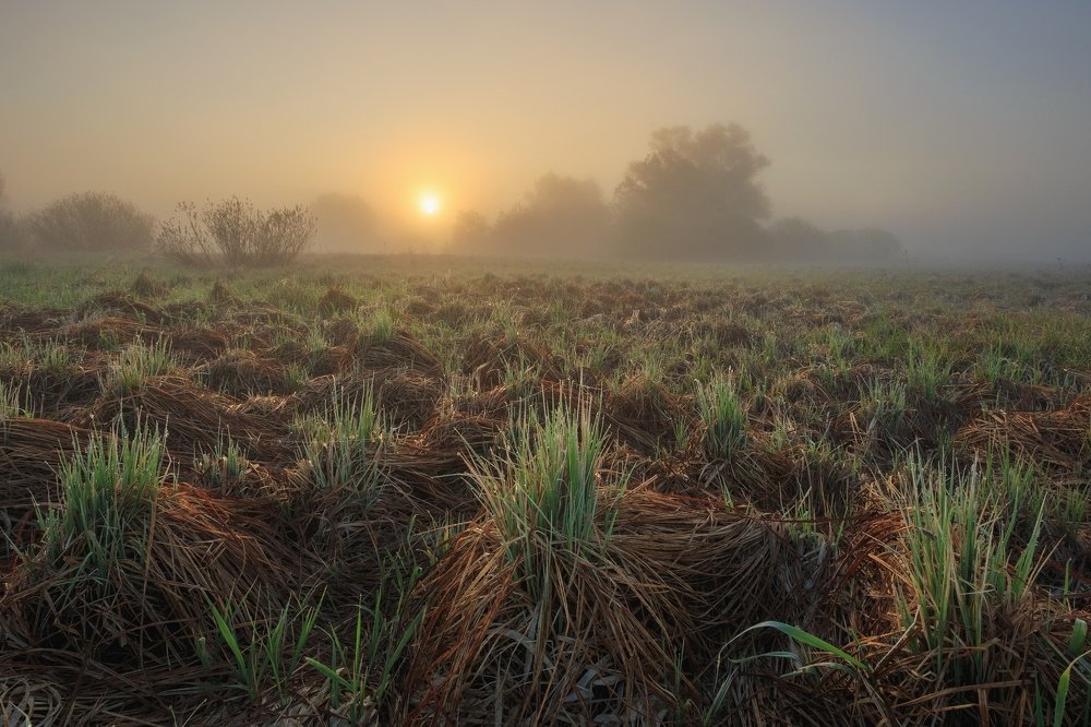 Photograph by Денис Лукьяненко