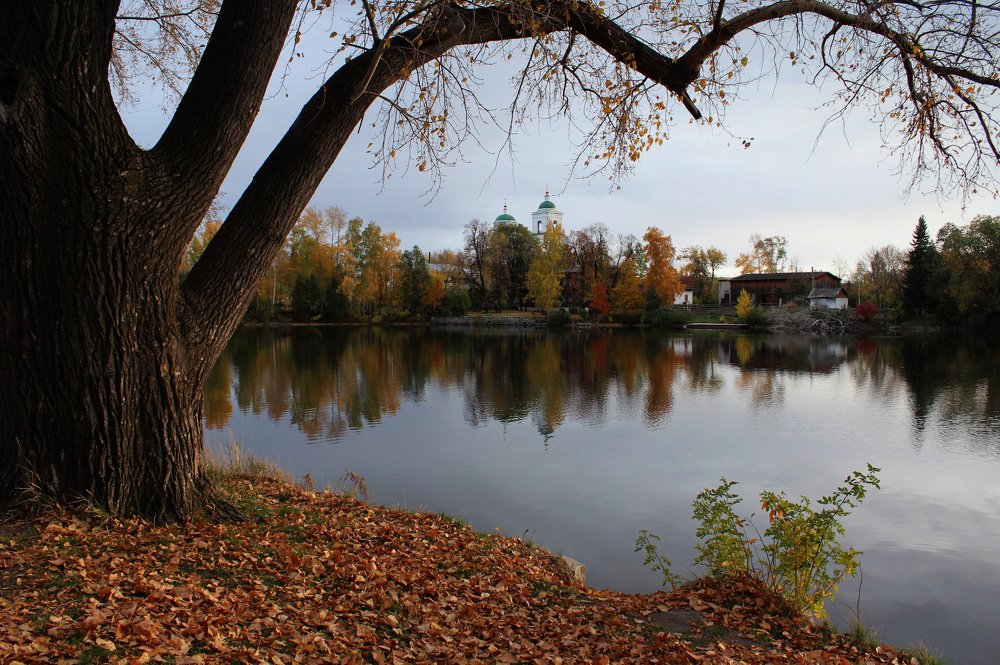 Photograph by Зоя Быкова