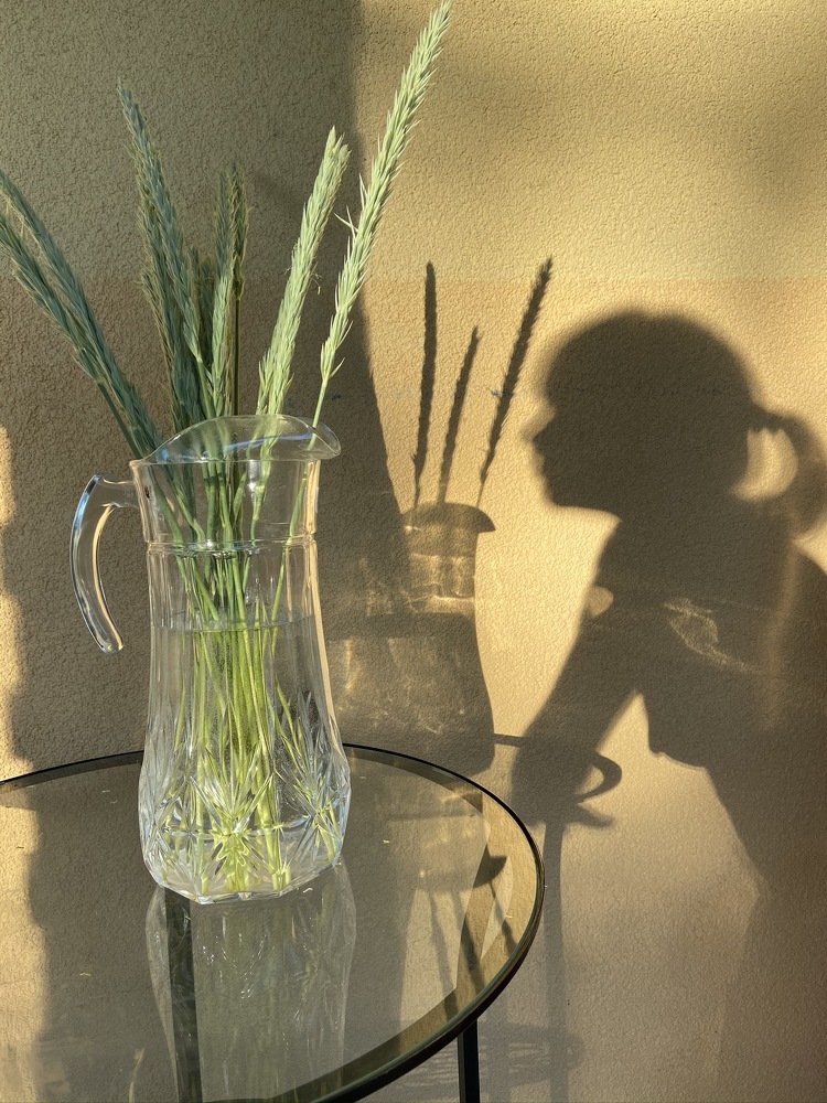 Photograph by Александра Ярнова