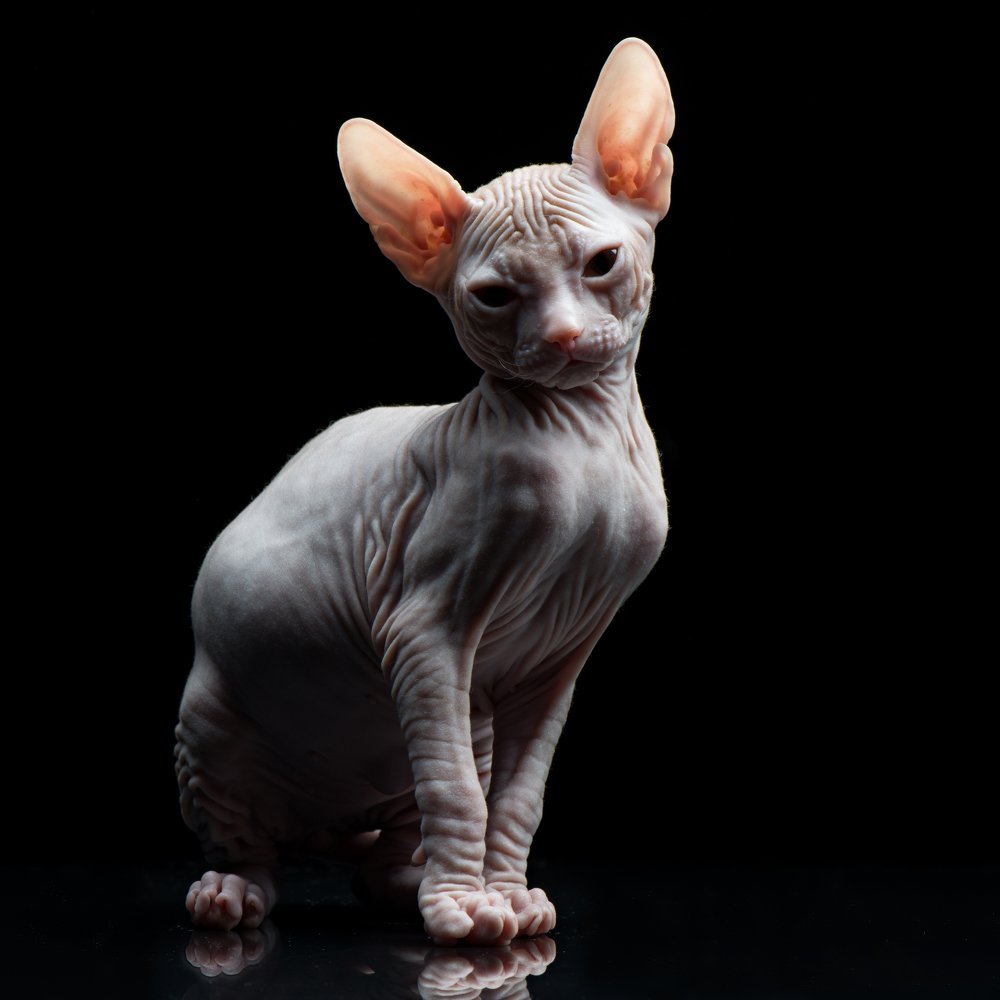 Photograph by Антон Ростовский