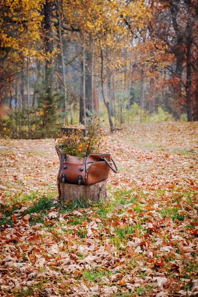 Photograph by Соболев Сергей