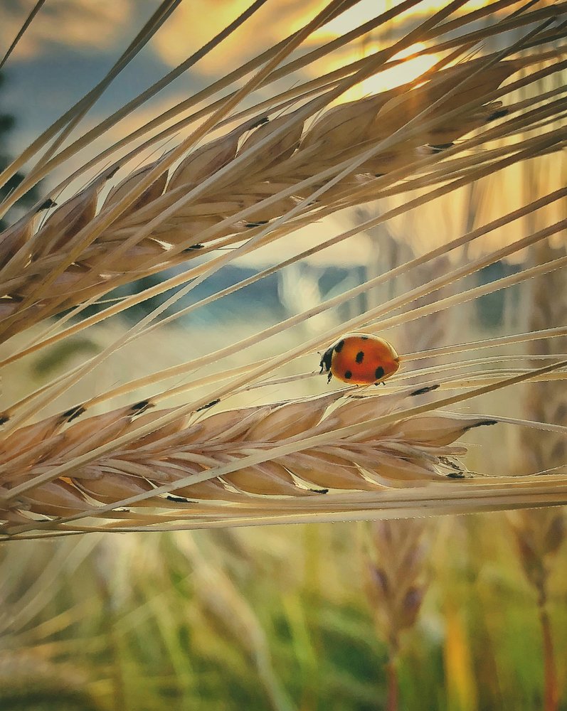 Photograph by Валентина Старикова