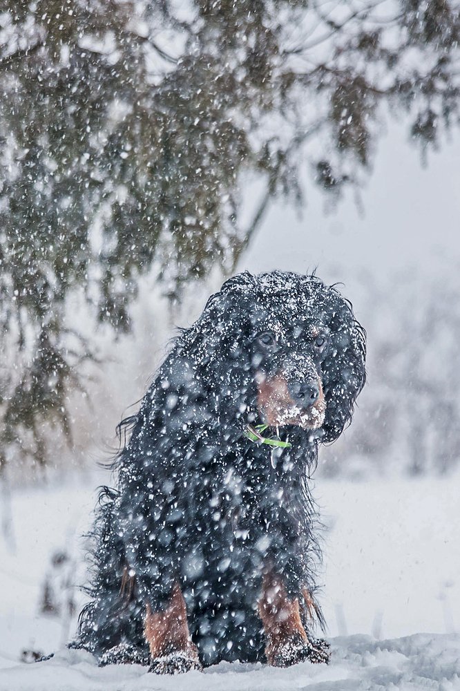 Photograph by Ольга Мурзина