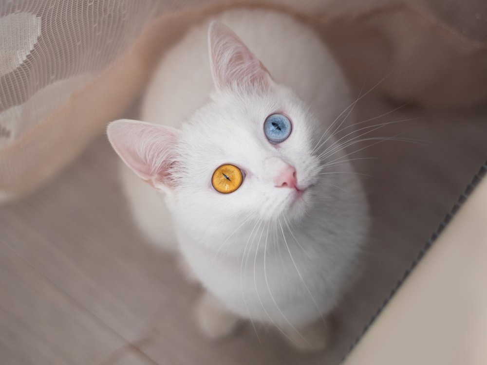 Photograph by Ольга Савостина