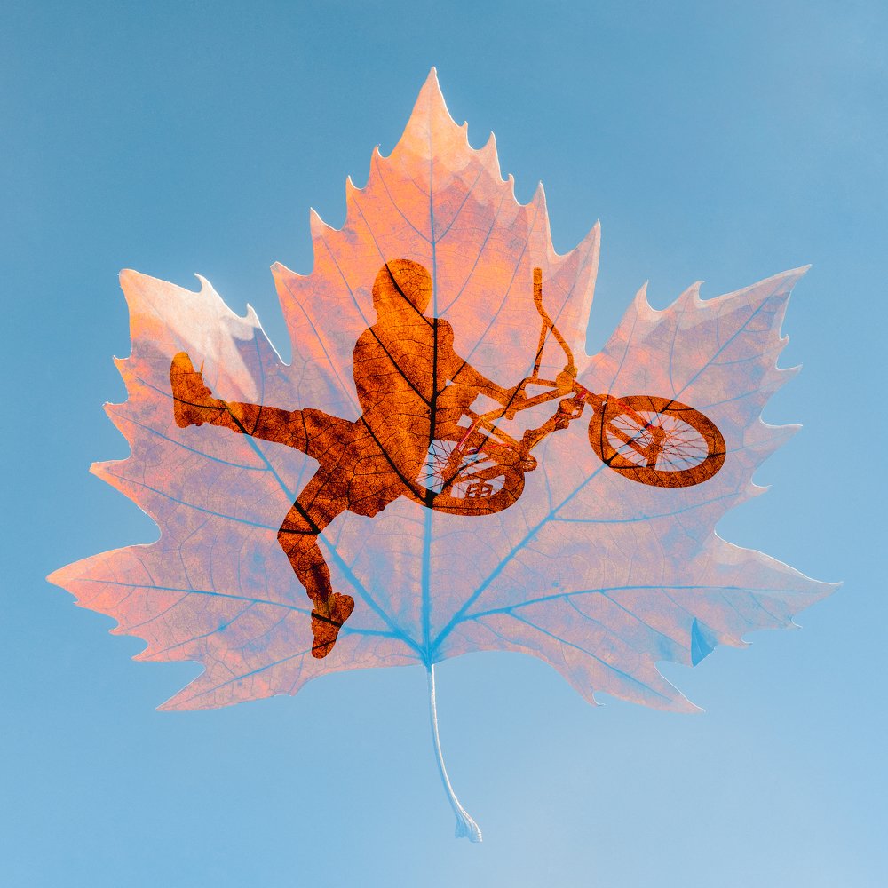 Осенние листья