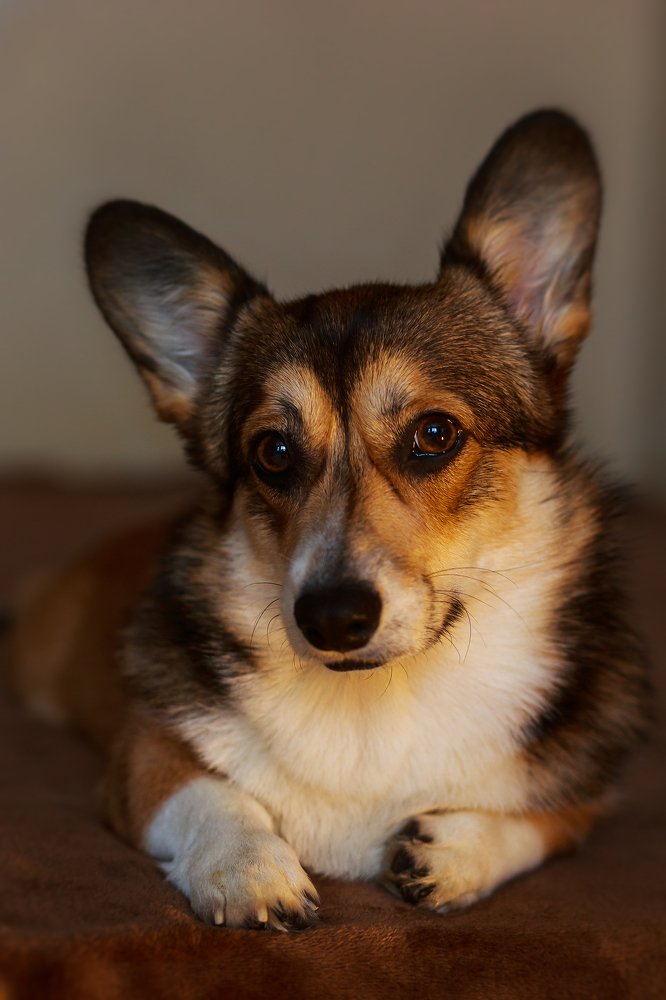 Photograph by Светлана