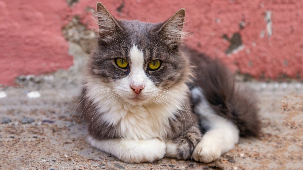 Photograph by Hasan Bayrak