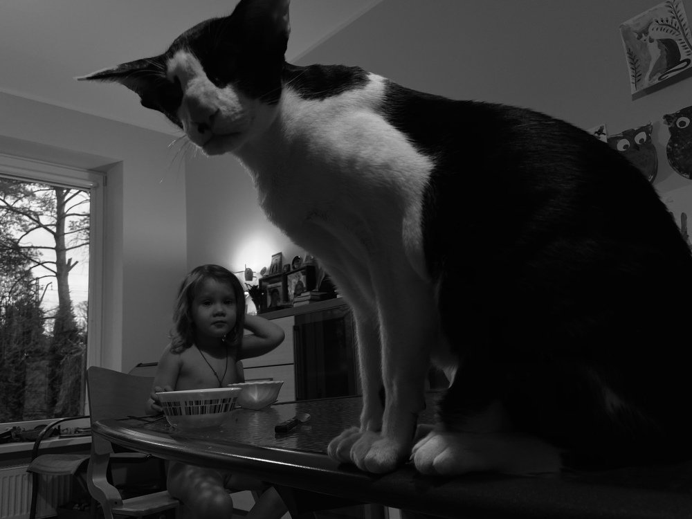 Photograph by Александра Ярнова