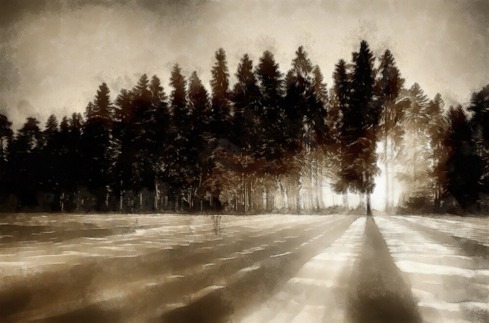 Photograph by Andrzej Andrychowski