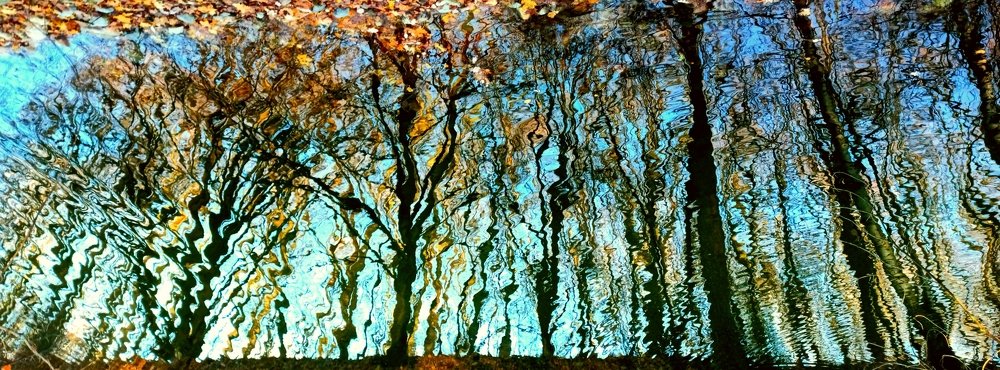 Осеннее отражение