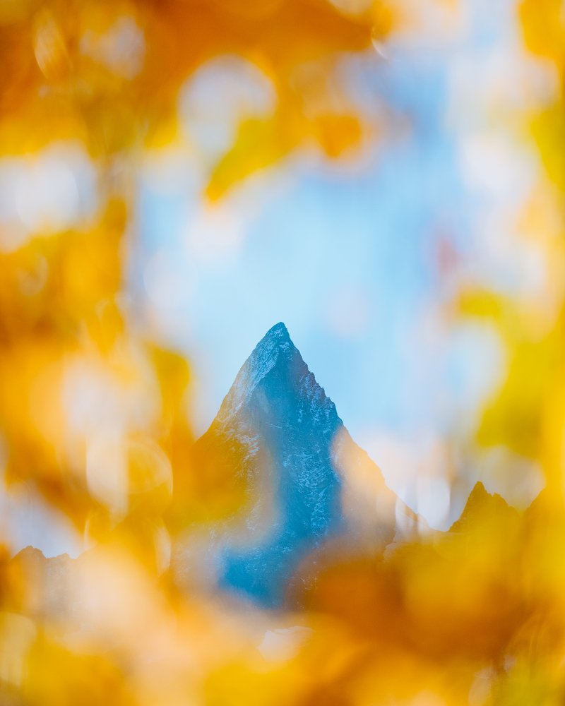 В объятиях Осени