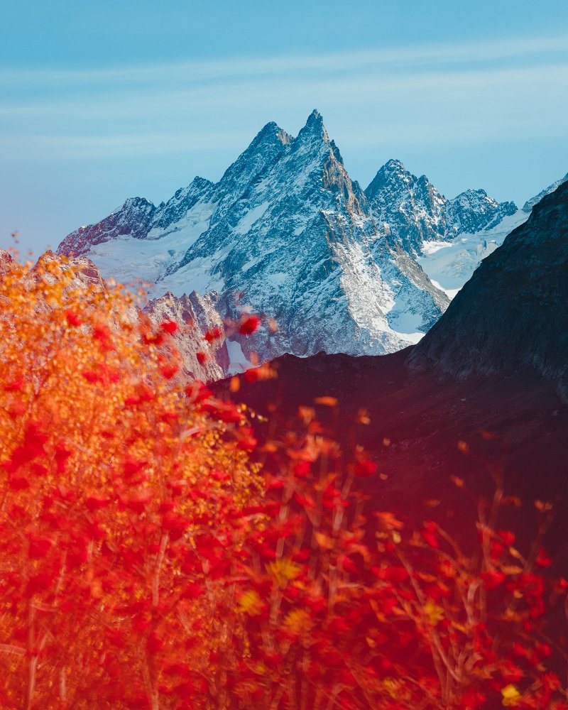 Зима на горизонте