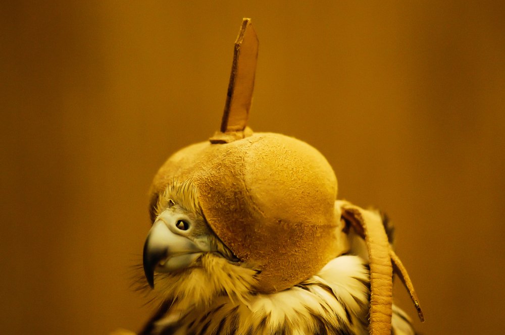 Photograph by shabu joseph