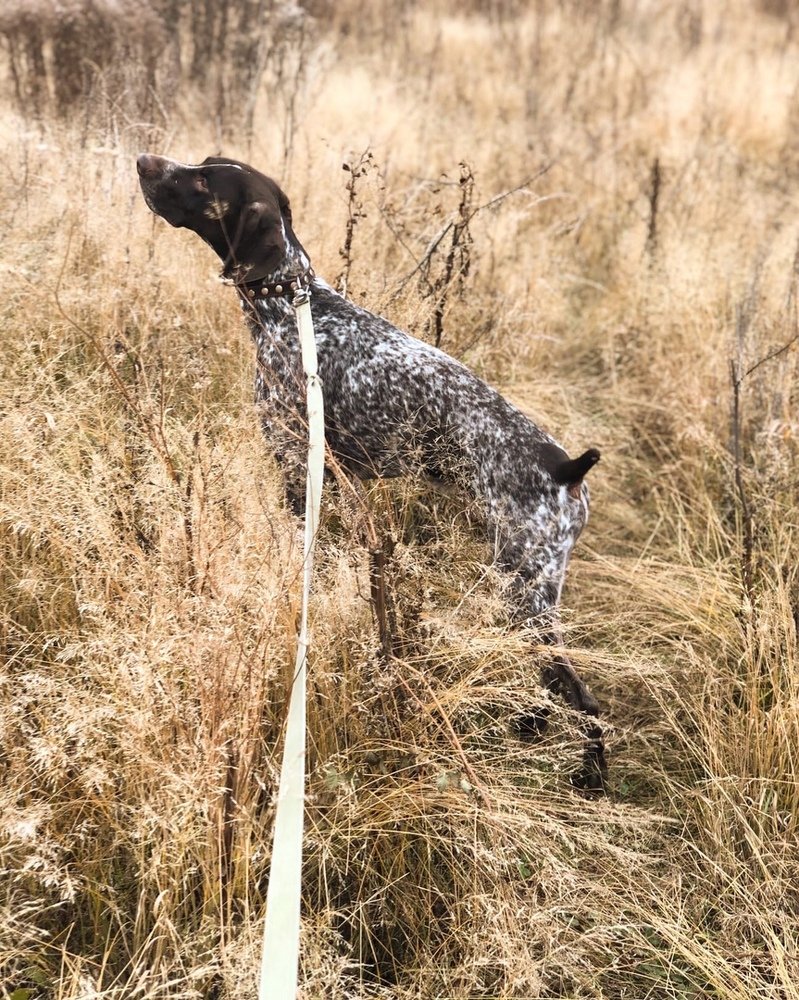 Photograph by Юлия Стародубцева