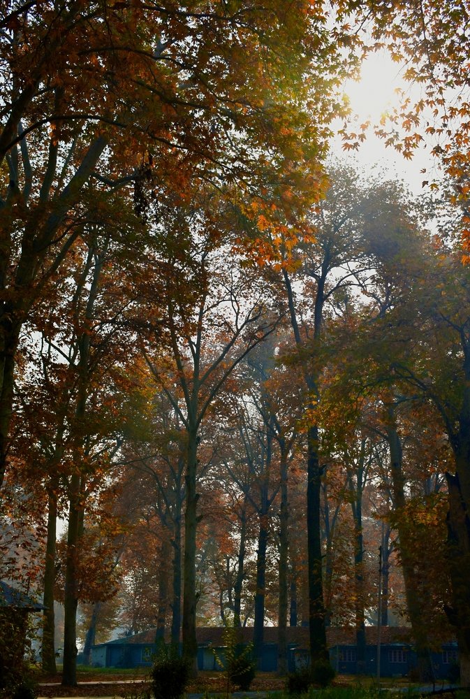 Photograph by Anam (Annie) Zaffar